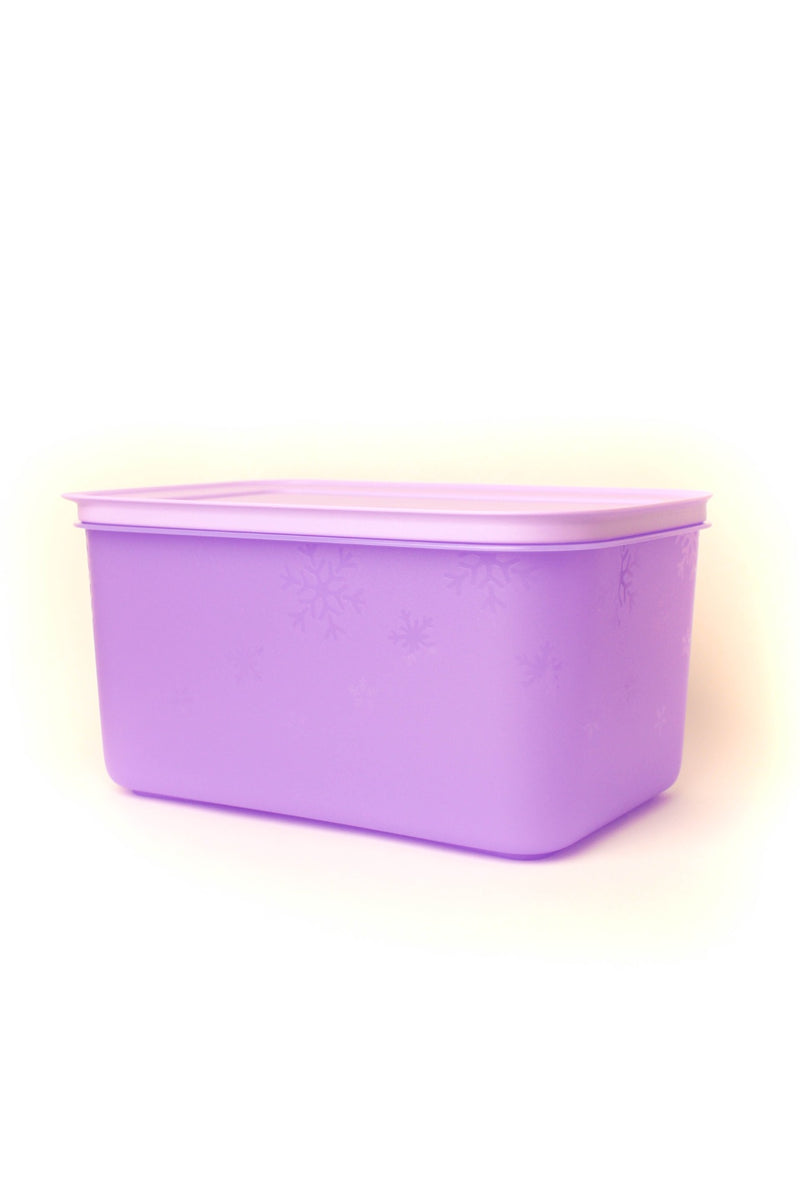 Mini Congeladoras Tupperware® 170 ml (2 un)