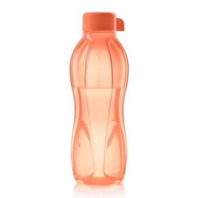 Eco Garrafa 500 mL