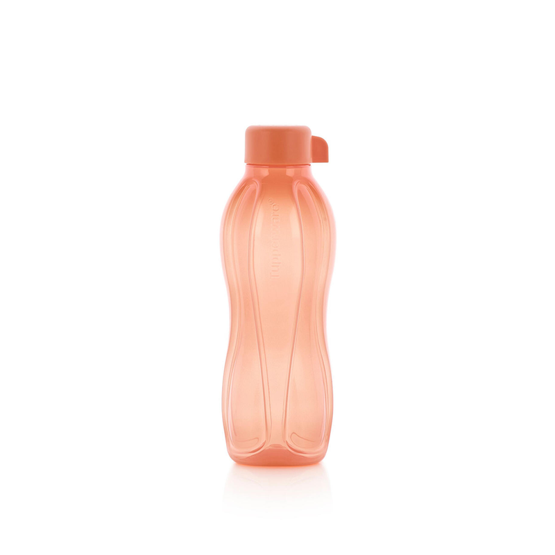 Eco Garrafa 500 mL