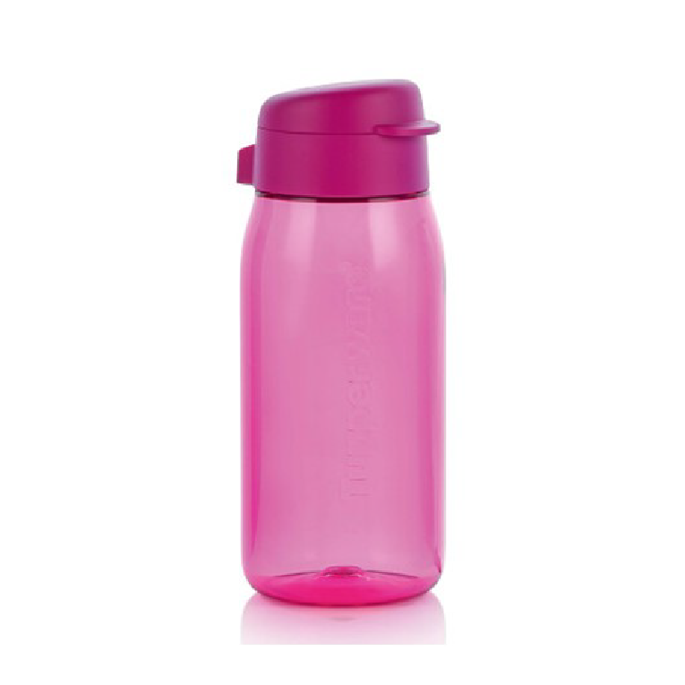 Eco Garrafa 550 mL