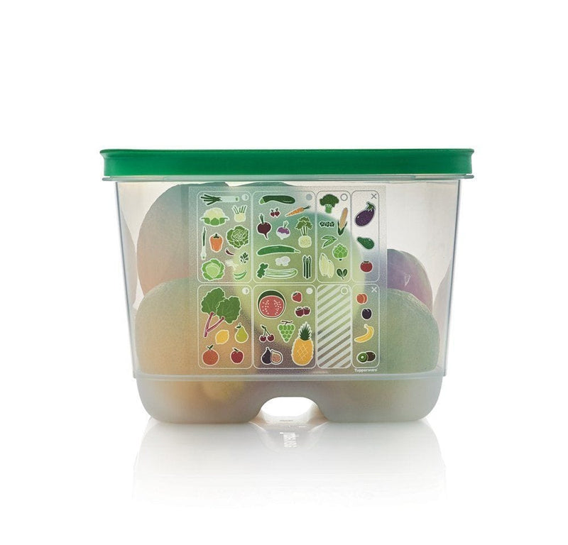 Ventsmart 4.4 l  Coleção_Conservação no Frigorífico, Cor_Verde, Preço_25€ - 50€, verde €28 Tupperware | Alana